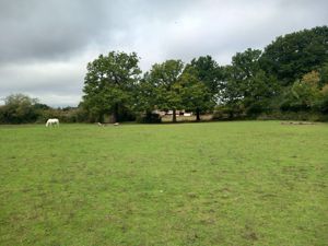 Photo 11- click for photo gallery